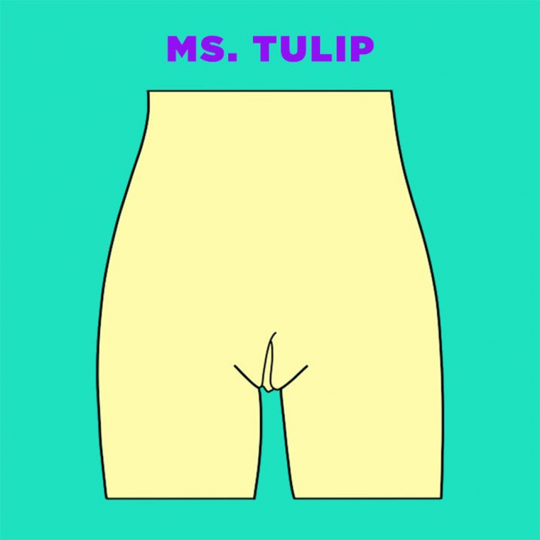Ms-Tulip-vagina-illustration.jpg Ms-Tulip-vagina-illustration.jpg